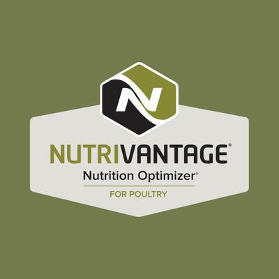 Show full view: Kent / Blue Seal Home Fresh Multi-Flock Chick N Game Starter Grower 22% Protein Poultry Food, 50-lb bag slide 5 of 9