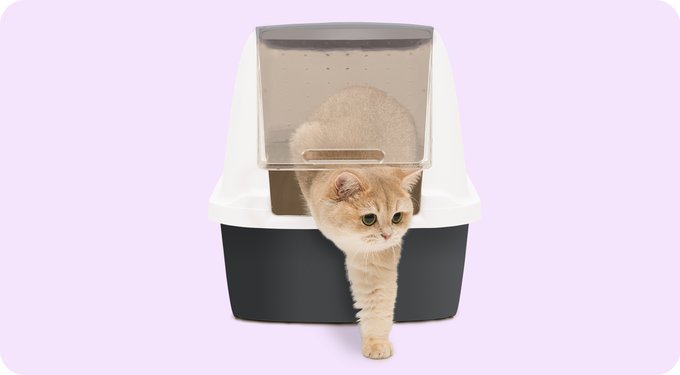 Catit Treat Ball Cat Toy