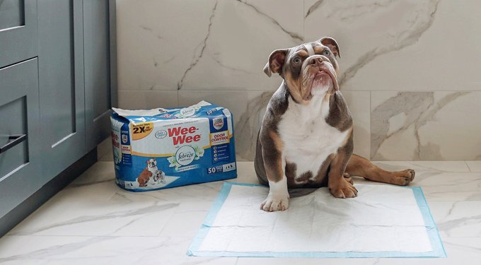 Wee-Wee Superior Performance Dog Pee Pads