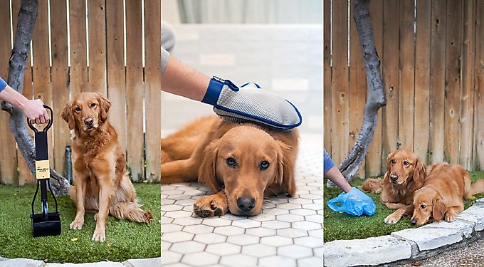 Wee-Wee Superior Performance Dog Pee Pads