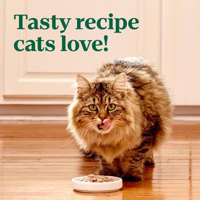 Show full view: Nutro Perfect Portions Grain-Free Cuts in Gravy Variety Pack Chicken & Beef Recipe Adult Cat Food Trays, 2.64-oz, case of 12 twin-packs slide 9 of 10