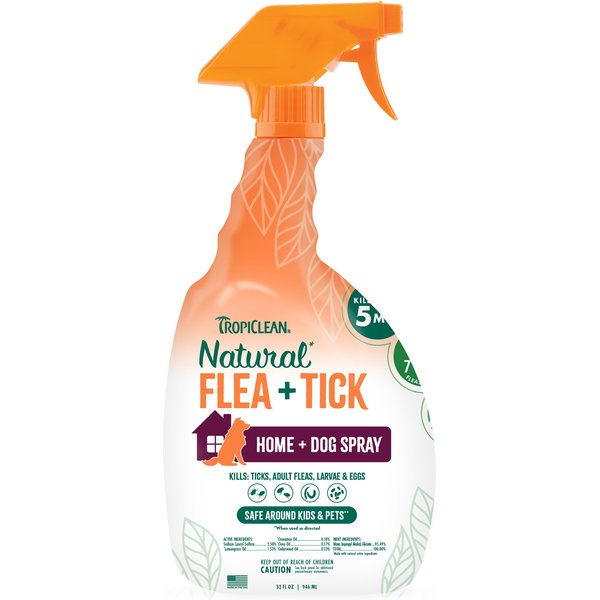 Adult Fleas Knockout Flea Treatment Knockout Flea Spray For House