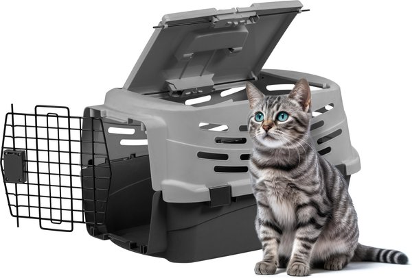 Cat travel kennel best sale