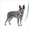 Show in main carousel: PetSafe Easy Walk Comfort Reflective No Pull Dog Harness, Blue, Medium: 24 to 34-in chest slide 1 of 10