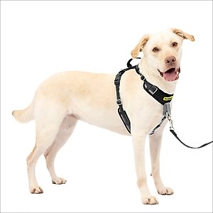PetSafe Easy Walk Comfort Reflective No Pull Dog Harness, Black, Large: 30 to 42-in chest