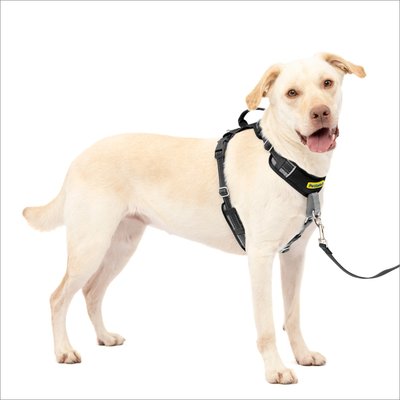 PetSafe PetSafe Easy Walk Comfort Reflective No Pull Dog Harness, Black, Large: 30 to 42-in chest