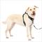 Show in main carousel: PetSafe Easy Walk Comfort Reflective No Pull Dog Harness, Black, Large: 30 to 42-in chest slide 1 of 10
