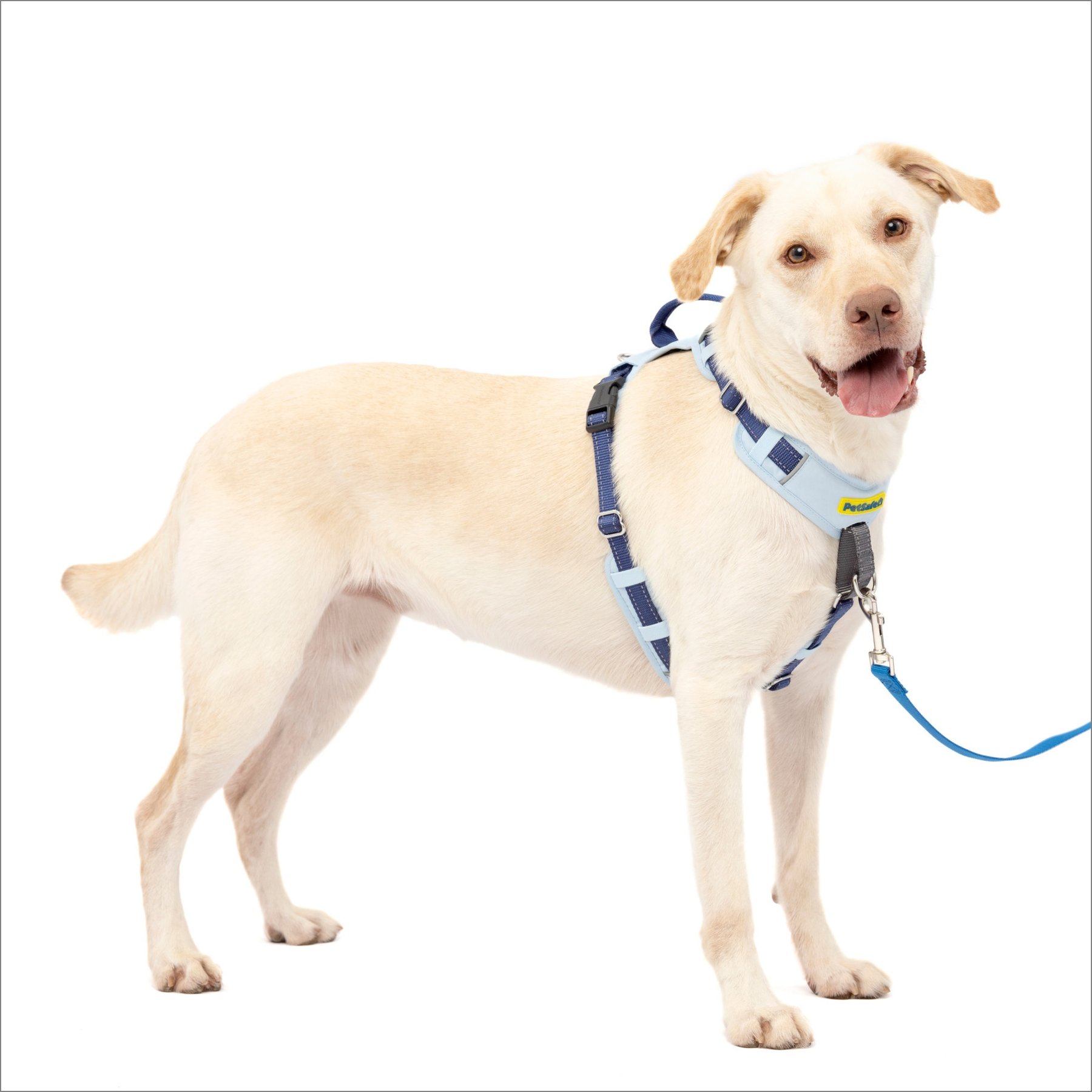 PetSafe Easy Walk Comfort Reflective No Pull Dog Harness, Blue, Large: 30 to 42-in chest