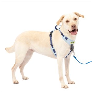 PetSafe Easy Walk Comfort Reflective No Pull Dog Harness, Blue, Large: 30 to 42-in chest