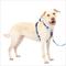 Show in main carousel: PetSafe Easy Walk Comfort Reflective No Pull Dog Harness, Blue, Large: 30 to 42-in chest slide 1 of 10