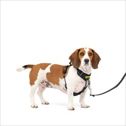 PetSafe Easy Walk Comfort Reflective No Pull Dog Harness, Black, Small: 19 to 24-in chest