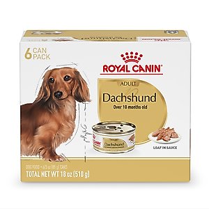 Royal Canin Breed Health Nutrition Dachshund Adult Loaf in Sauce Canned Dog Food, 3-oz can, case of 6