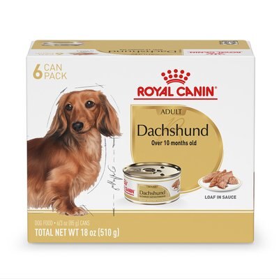 Royal Canin Royal Canin Breed Health Nutrition Dachshund Adult Loaf in Sauce Canned Dog Food, 3-oz can, case of 6
