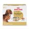 Show in main carousel: Royal Canin Breed Health Nutrition Dachshund Adult Loaf in Sauce Canned Dog Food, 3-oz can, case of 6 slide 1 of 13