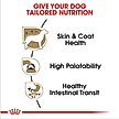 Show in main carousel: Royal Canin Breed Health Nutrition Chihuahua Adult Loaf In Sauce Dog Food, 3-oz can, case of 6 slide 4 of 13
