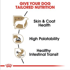 Royal Canin Breed Health Nutrition Chihuahua Adult Loaf In Sauce Dog Food, 3-oz, case of 24