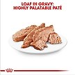 Show in main carousel: Royal Canin Breed Health Nutrition Chihuahua Adult Loaf In Sauce Dog Food, 3-oz can, case of 6 slide 3 of 13