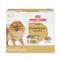 Show in main carousel: Royal Canin Breed Health Nutrition Pomeranian Adult Loaf in Sauce Canned Dog Food, 3-oz can, case of 6 slide 1 of 12