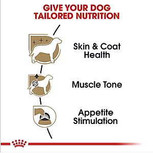 Royal Canin Breed Health Nutrition Poodle Adult Loaf in Sauce Canned Dog Food, 3-oz can, case of 24