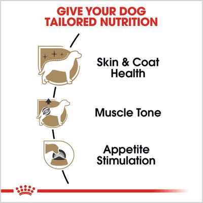 Show full view: Royal Canin Breed Health Nutrition Poodle Adult Loaf in Sauce Canned Dog Food, 3-oz can, case of 24 slide 4 of 13