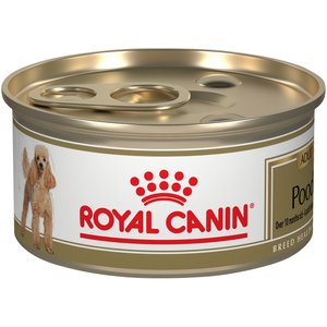 Royal Canin Breed Health Nutrition Poodle Adult Loaf in Sauce Canned Dog Food, 3-oz can, case of 24