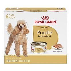 Royal Canin Breed Health Nutrition Poodle Adult Loaf in Sauce Canned Dog Food, 3-oz can, case of 6