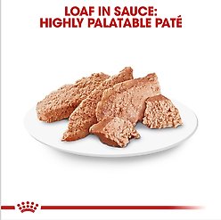 Royal Canin Breed Health Nutrition Yorkshire Terrier Adult Loaf In Sauce Wet Dog Food, 3-oz, case of 24 slide 2 of 9