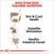 Show in main carousel: Royal Canin Breed Health Nutrition Yorkshire Terrier Adult Loaf In Sauce Wet Dog Food, 3-oz can, case of 6 slide 4 of 13