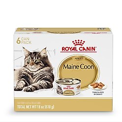 Royal Canin Maine Coon Adult Thin Slices in Gravy Wet Cat Food, 3-oz can, case of 6
