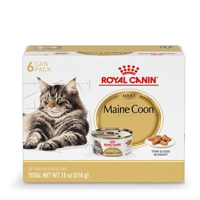 l-carnitine in cat food for sterilized cats ROYAL CANIN Maine Coon Adult Thin Slices in Gravy Wet Cat Food, 3-oz can, case of 6