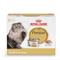 Show in main carousel: Royal Canin Feline Breed Nutrition Persian Loaf Pate Adult Wet Cat Food, 3-oz can, case of 6 slide 1 of 13