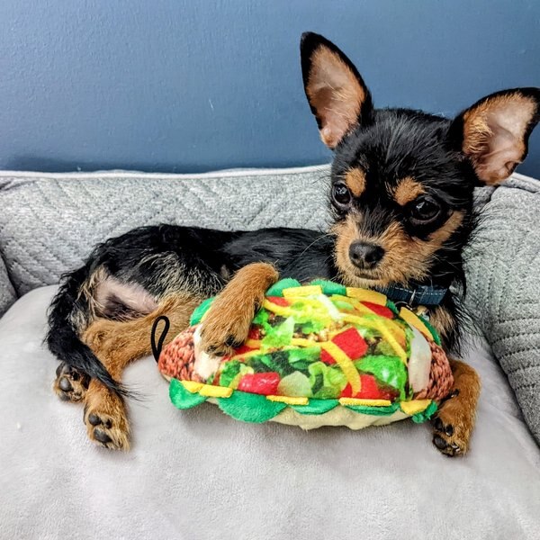 Huxley & Kent Dog Power Plush Taco Tuesday Dog Toy, Brown