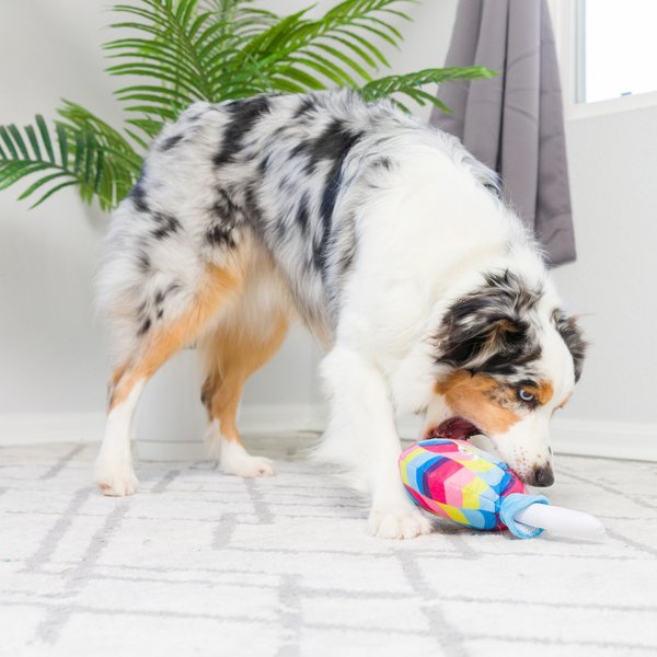 Huxley & Kent Dog Power Plush Equality Bone Dog Toy, Multicolor
