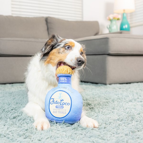 Bow-Wow Pet Plush Tequila Dog Toy