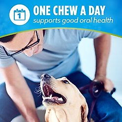 DentaLife ActivFresh Daily Oral Care Mini Dental Dog Treats, 56 count slide 2 of 9