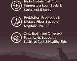 Wellness CORE Ocean Whitefish, Herring & Salmon Recipe Dry Dog Food, 26-lb bag slide 2 of 9