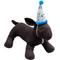 Show in main carousel: The Worthy Dog Birthday Dog Party Hat, Blue, Large slide 2 of 5
