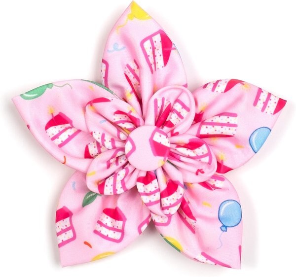 The Worthy Dog Birthday Girl Flower Dog Collar Accessory, Pink, Small
