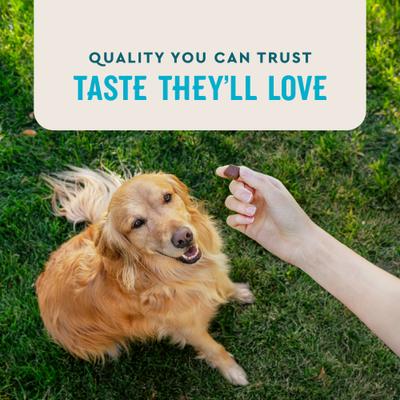 Show full view: VetIQ Advanced Hip & Joint Chicken Flavored Soft Chews Dog Supplement, 60 count bag slide 6 of 10