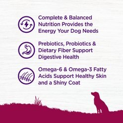 Wellness Small Breed Complete Health Adult Turkey & Oatmeal Recipe Natural Dry Dog Food, 12-lb bag slide 2 of 9