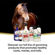 Show in main carousel: Absorbine ShowSheen Stain Remover & Whitener Horse Spray, 20-fl oz bottle slide 4 of 5