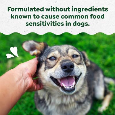 Show full view: Greenies Skin & Coat Sensitive Care Peanut Butter Flavor Supplement for Dogs, 80 count slide 9 of 11