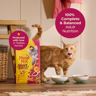 Show full view: Meow Mix Gravy Bursts Savory Chicken Flavor Mix with Gravy Filled Pieces Dry Cat Food, 13.5-lb bag slide 6 of 13