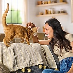 Meow Mix Original Choice Dry Cat Food, 22-lb bag slide 2 of 9