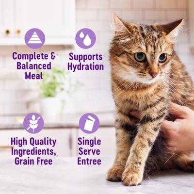 Show full view: Wellness Appetizing Entrees Shredded Poultry Variety Pack Natural Grain-Free Mousse Wet Cat Food, 1.4-oz pouch, case of 8 slide 5 of 12