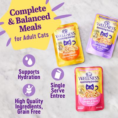 Show full view: Wellness Appetizing Entrees Chicken & Duck Natural Grain-Free Shredded Wet Cat Food, 1.4-oz pouch, case of 8 slide 5 of 12