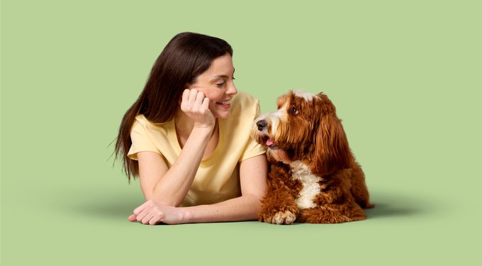 Zenrelia (ilunocitinib tablets) for Dogs