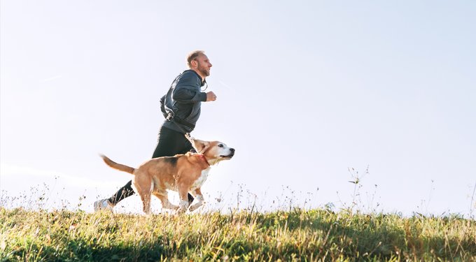 Zenrelia (ilunocitinib tablets) for Dogs