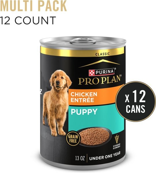 Can Puppy Food Make Adult Dogs Sick? Shocking Truth Revealed!