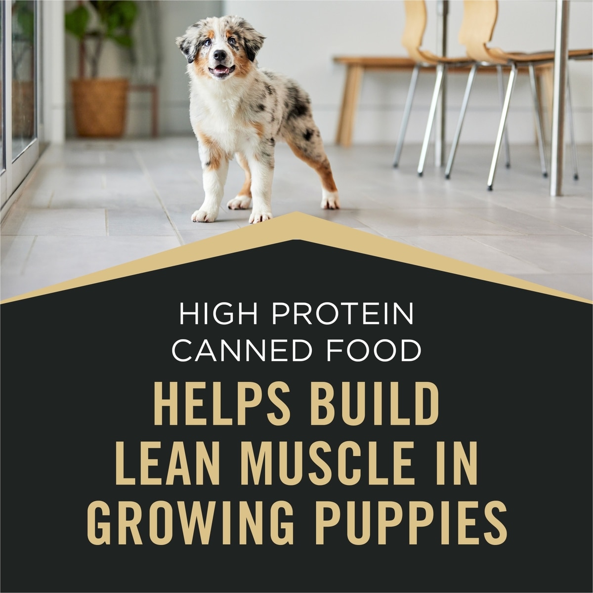 PURINA PRO PLAN Sport Development Puppy High Protein Beef Rice